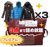プレミアムダウンクリーニングパック3