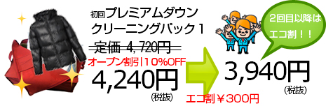 ダウンジャケット宅配クリーニング料金画像