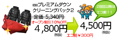 宅配クリーニングつめ放題１０画像