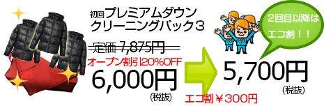 宅配クリーニングつめ放題１０画像